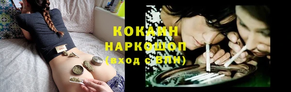 стаф Нефтегорск