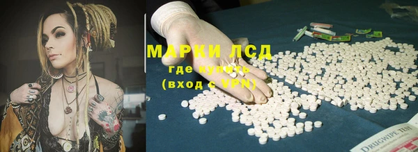 стаф Нефтегорск