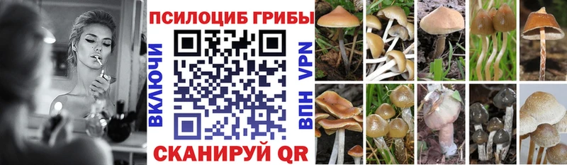дарнет шоп  Оханск  Галлюциногенные грибы ЛСД 